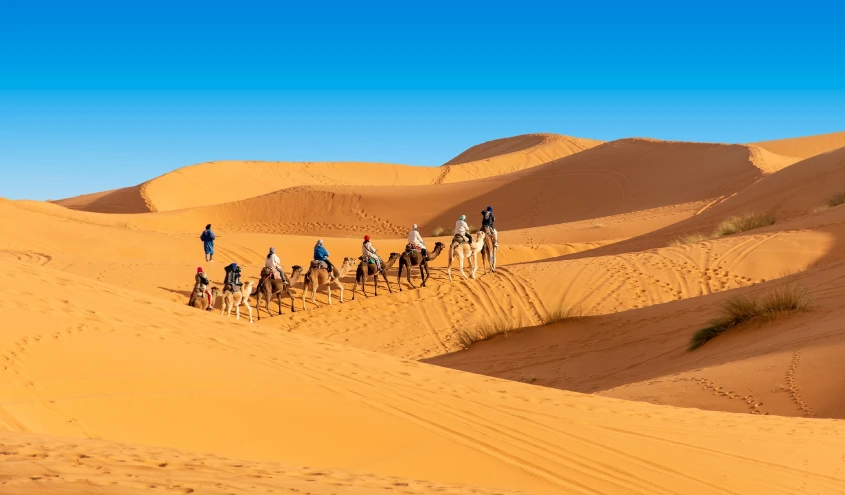 Circuit dans le désert au départ de Fès à Marrakech 4 jours