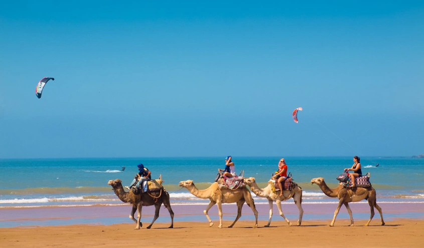 Excursion à Essaouira au départ de Marrakech – 1 jour 