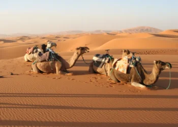 Circuit désert d’Erg Lihoudi au départ de Ouarzazate – 2 jours