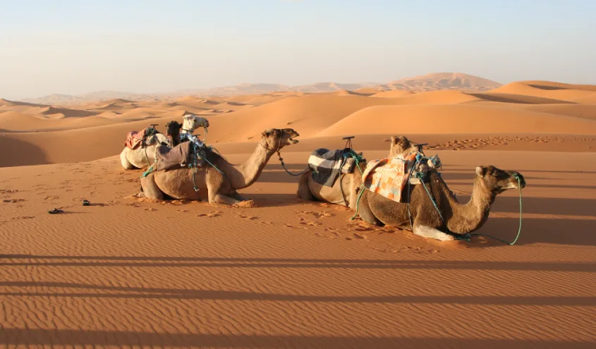 Circuit désert d’Erg Lihoudi au départ de Ouarzazate – 2 jours