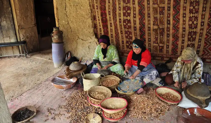 Excursion à Essaouira au départ de Marrakech – 1 jour 