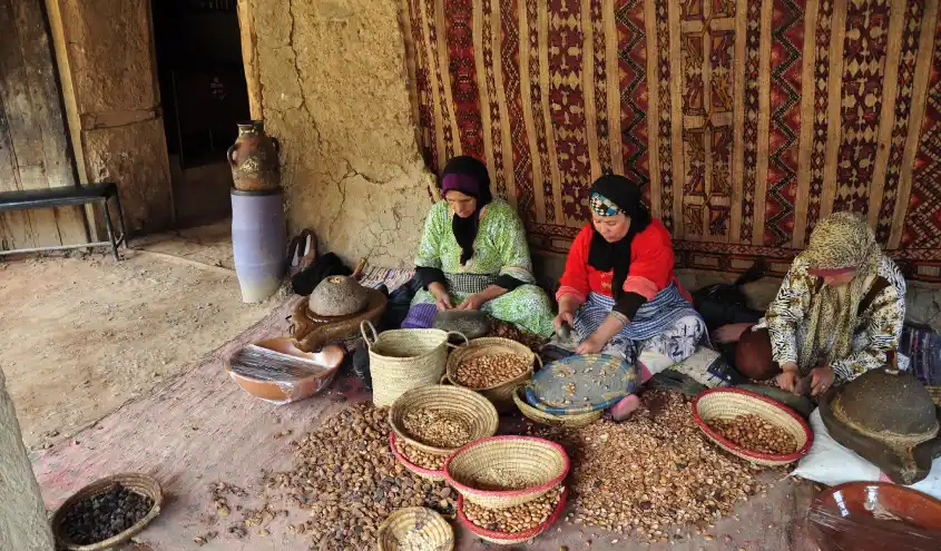 Excursion dans l’Atlas et le désert Agafay depuis Marrakech 