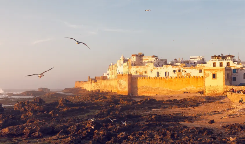 Excursion à Essaouira au départ de Marrakech – 1 jour