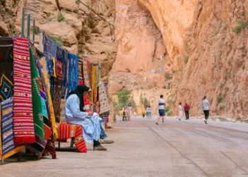 Kasbah Amrdedhil, Vallée des Roses et Gorges du Dadès