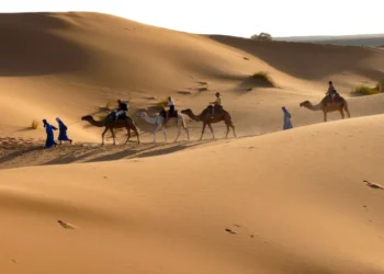 Excursion désert de Tinfou; Vallée du Drâa, balade de dromadaire