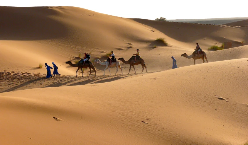 Excursion désert de Tinfou; Vallée du Drâa, balade de dromadaire