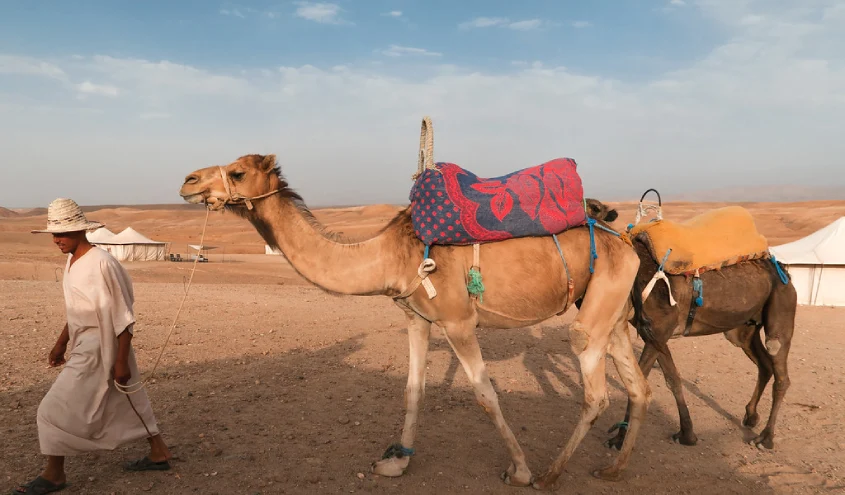 Excursion dans l’Atlas et le désert Agafay depuis Marrakech 