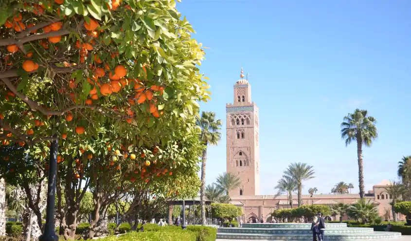 Visite guidée de Marrakech – journée complète 