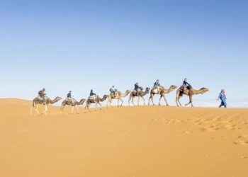 Circuit dans le désert de l'Erg Chegaga au départ d'Agadir - 6 jours