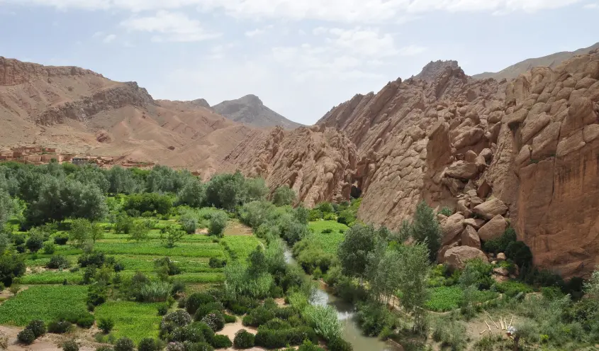 Oasis de Skoura, la vallée des roses et les gorges du Dadès – 1 jour 