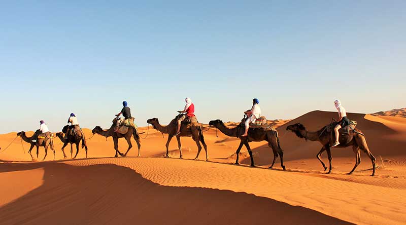 Tour from Casablanca to Marrakech – 12 days 